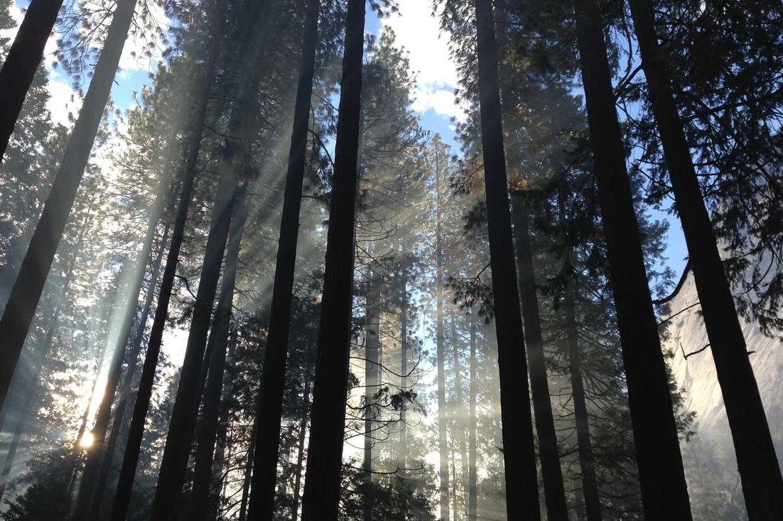 Ratione delectus dolor