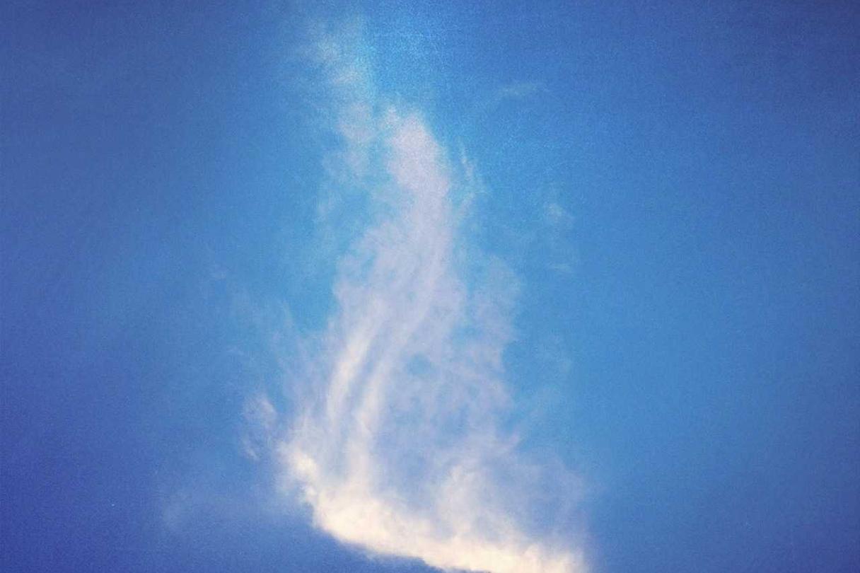 Molestiae illum nulla est nihil quia