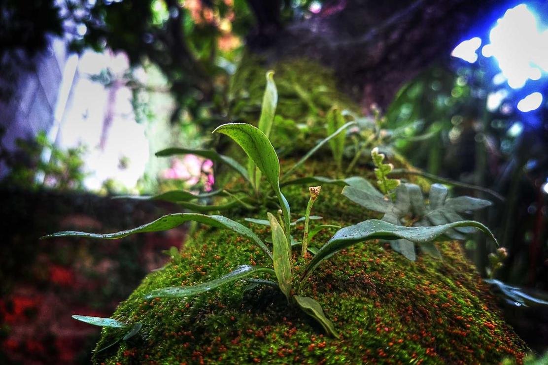 Et assumenda labore magni